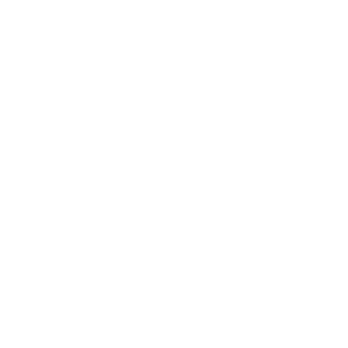 PoreNet